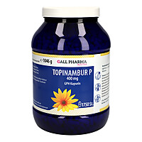 Artikelbild Topinambur P 400 mg GPH Kapseln 1750St