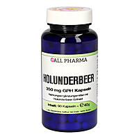 Artikelbild Holunderbeer 350 mg GPH Kapseln 90St