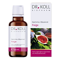 Artikelfoto Gemmo-Mazerat Feige Dr.Koll Ficus carica Tropfen 50ml