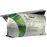 Artikelbild Grnes Kissen 30x40 cm 