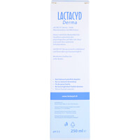 Produktbild Lactacyd Derma Waschsyndet 250ml